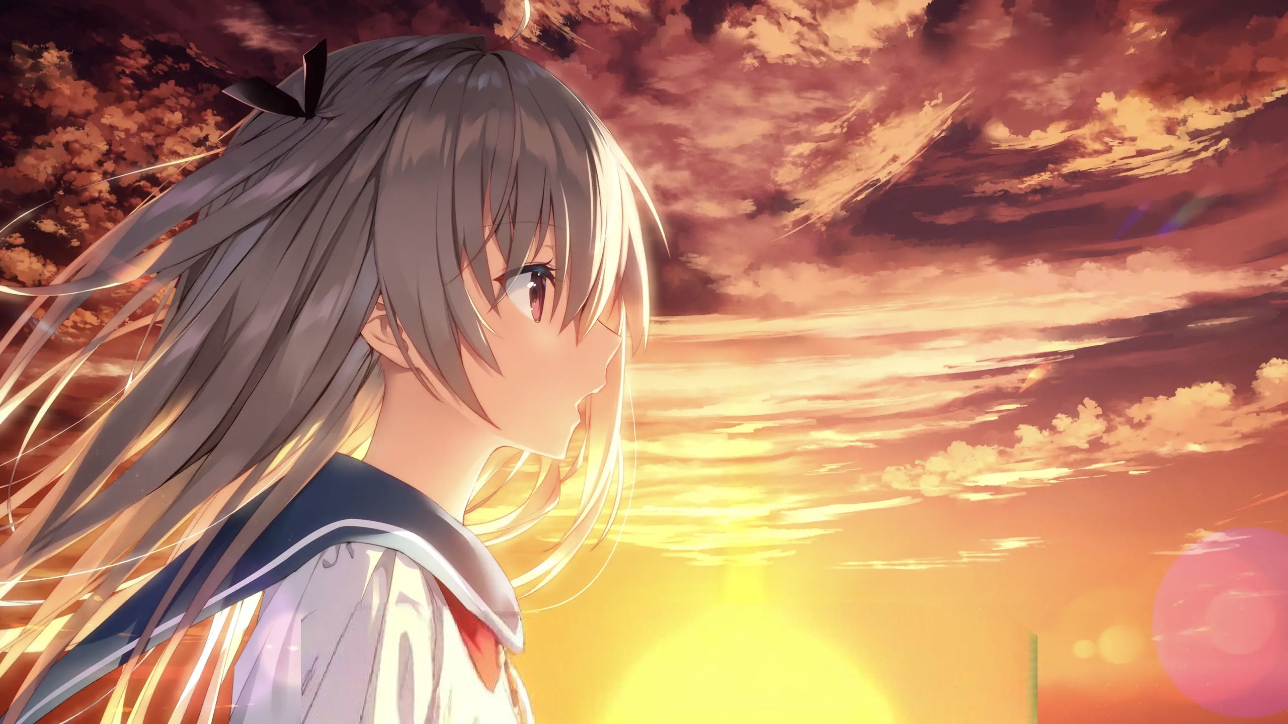 Cover Image of the Post